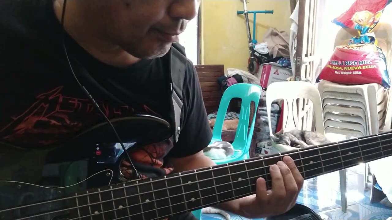 Piano in the dark by Brenda Russel(bass cover)