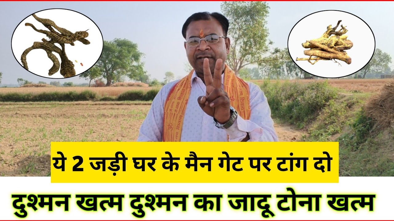 ये 2 जड़ी घर के मुख्य द्वार पर टांग देना // शत्रु और तांत्रिक की सारी कोशिशें फेल 100% गारंटी!