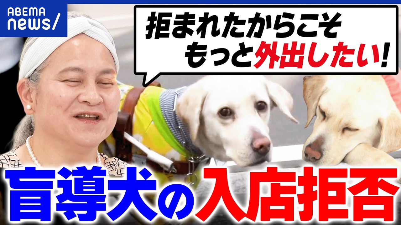 【盲導犬の入店拒否】約半数が経験&hellip;なぜ拒否？いきたい場所にいける社会&hellip;どう実現？｜アベプラ