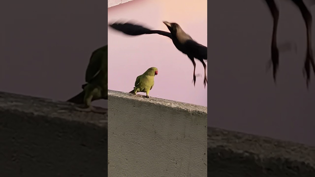 Tere yadon ki chadar odhe