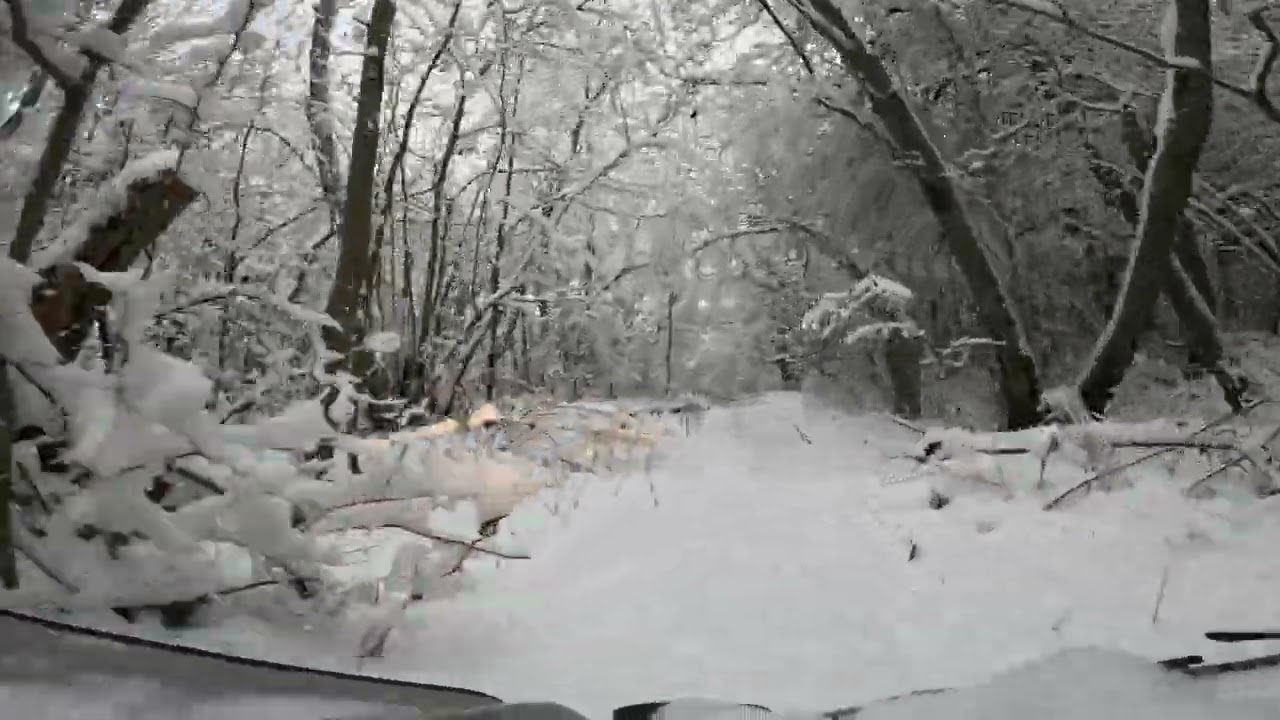 Winter Forest ATV ride Kren Can-Am Renegade 1000