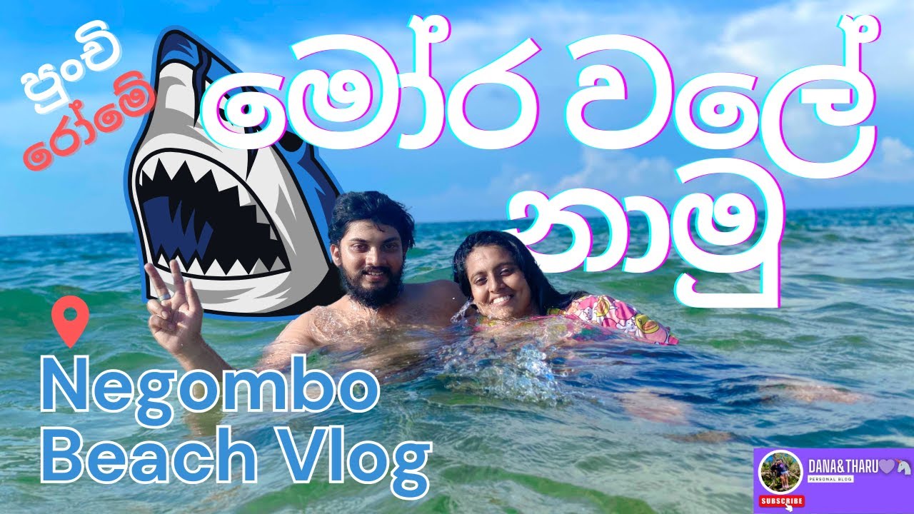 පුංචි රෝමේ 🇲🇪 මෝර වලේ 🦈 නාමු.. | MoraWala Beach in Srilanka #trending #negombo #sharkbreeding