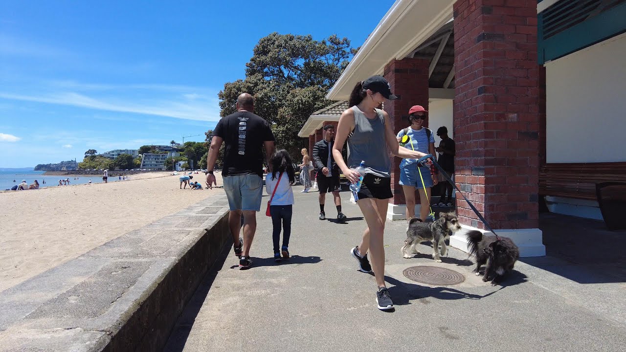(4k) Short summer walk. Mission Bay, Auckland, New Zealand | January 3, 2022.