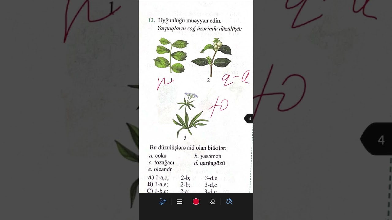 Biologiya RFM hazırlıq vəsaiti. Bölmə 2 sınaq 4