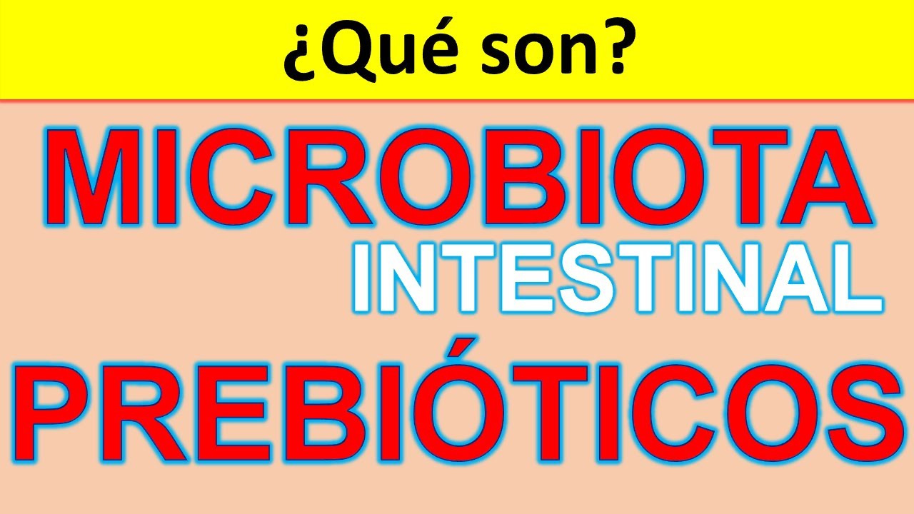&iquest;Qu&eacute; es LA MICROBIOTA INTESTINAL? &iquest;Qu&eacute; es un PREBI&Oacute;TICO? ALIMENTACI&Oacute;N PREBI&Oacute;TICA i FLORA INTESTINAL