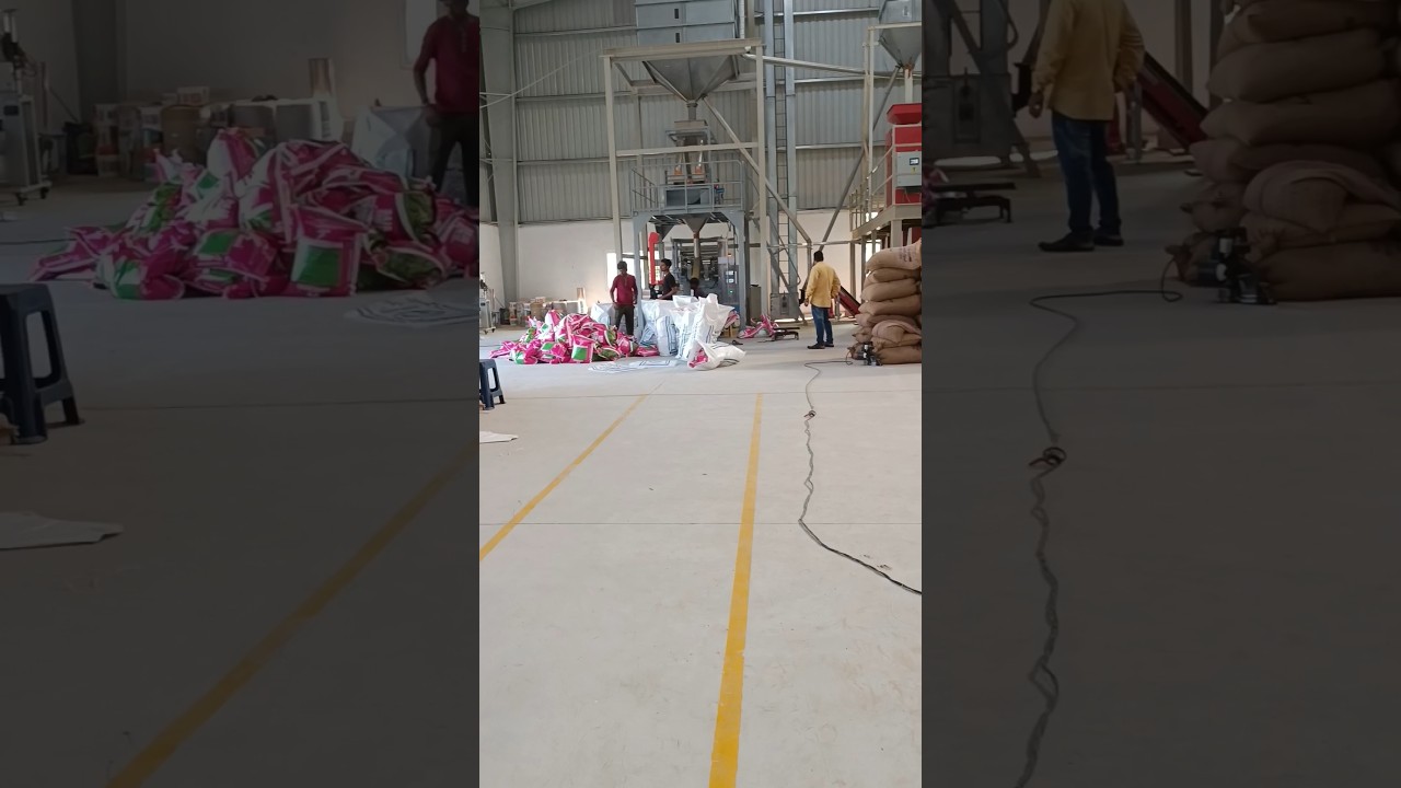 Paddy Seed processing 🌾 #rice #seeds #processing #machine #agriculture  #shorts