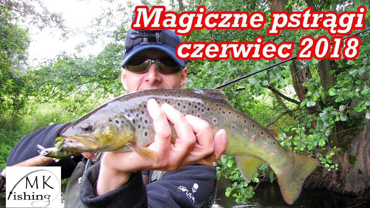 WIELKIE PSTRĄGI NA SPINNING - Twitch | Jak złowić pstrąga latem | Jaki wobler do twitcha z prądem