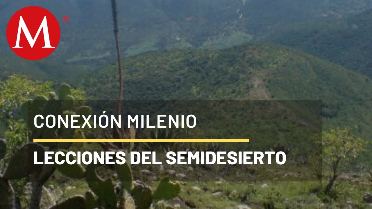 As&iacute; es el semidesierto en el coraz&oacute;n de M&eacute;xico | Conexi&oacute;n Milenio