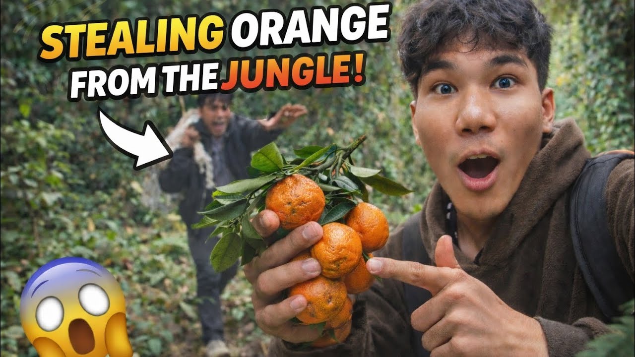 We went for stealing orange 🍊 from the jungle 😱😱😱