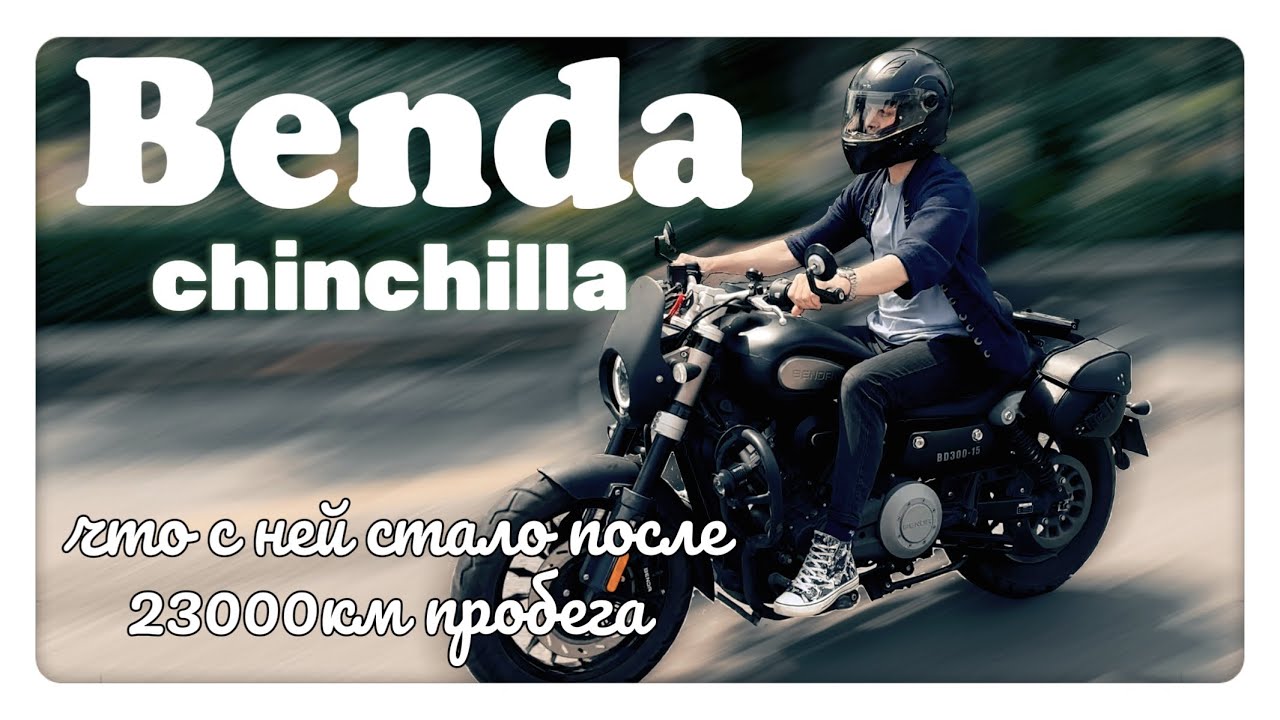 Benda-Chinchilla. -Интервью с Владельцем