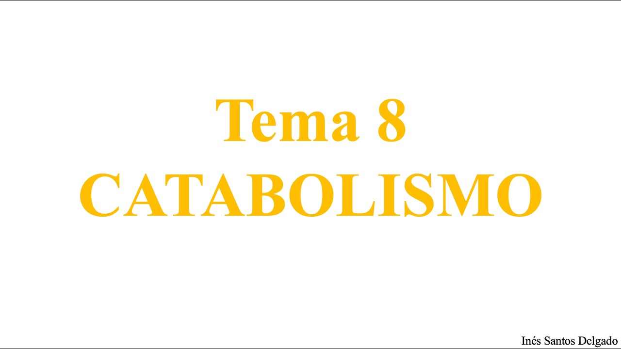 T8. Catabolismo