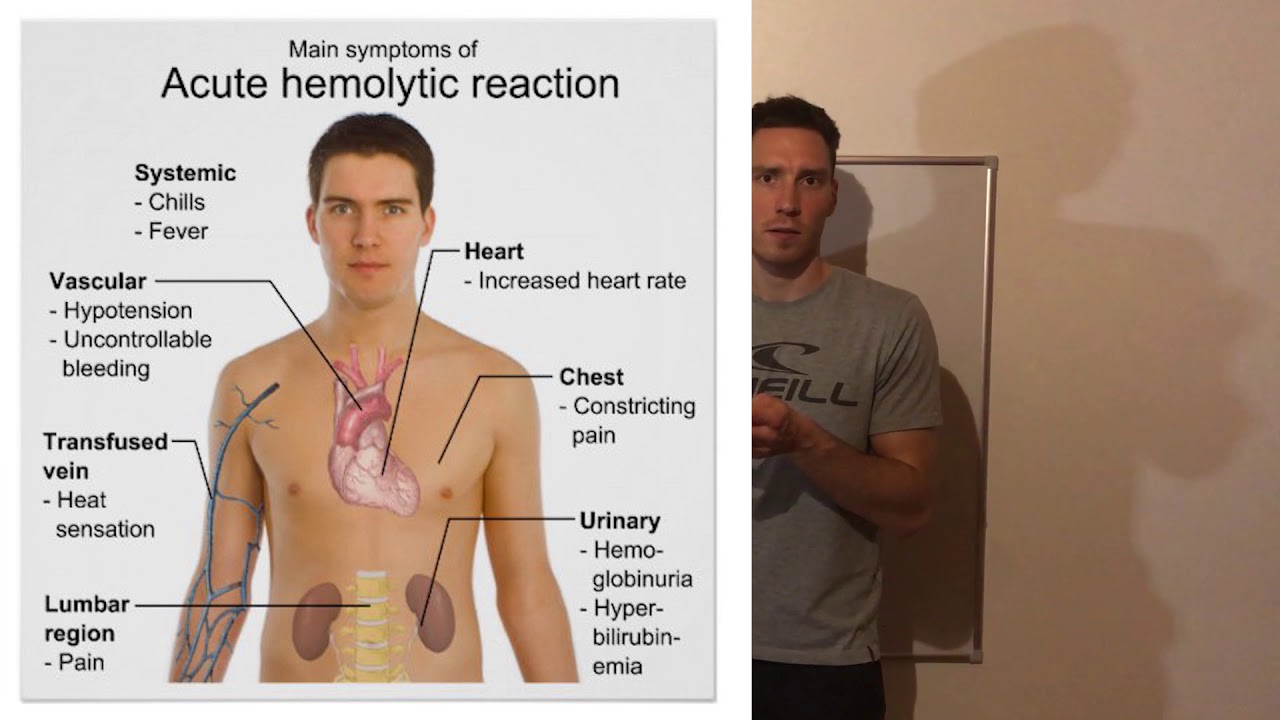 Haemolyticus anaemia - tünetek, laborértékek 4/4