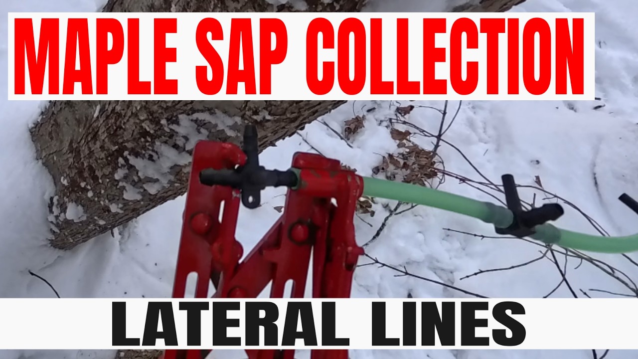 How to Install Maple Sap Lateral Lines: Fittings, Tension & Tie-ins