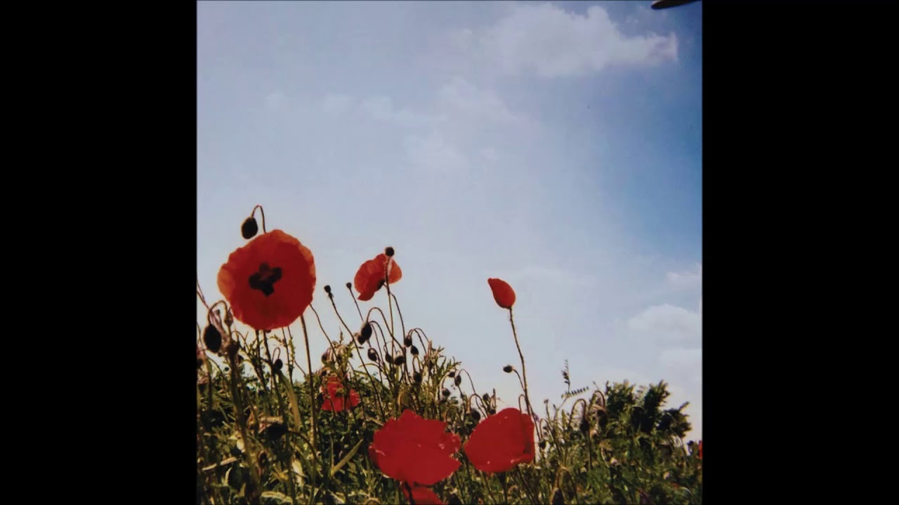 Fluisteraars - Vlek