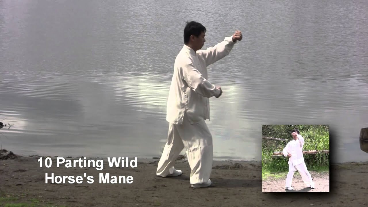Grandmaster Yang Jun Performs 16-Movement Form