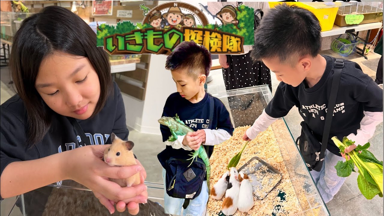 無制限触れ合い放題❤️いきもの探検隊‼️岸和田カンカンベイサイドモール