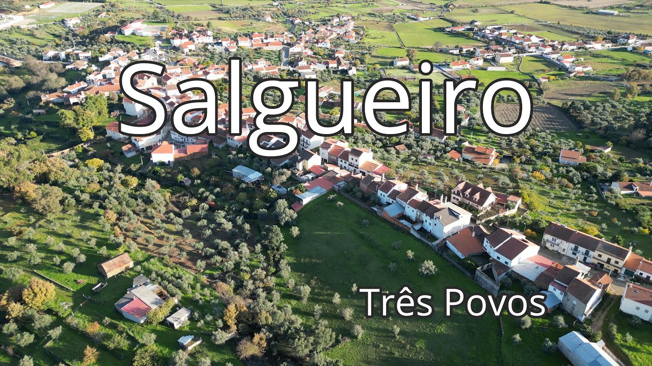 Salgueiro