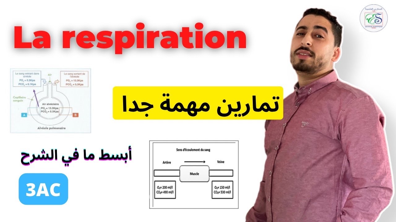 3AC : La respiration | Série d’exercices | Contrôle 2 🥵✅