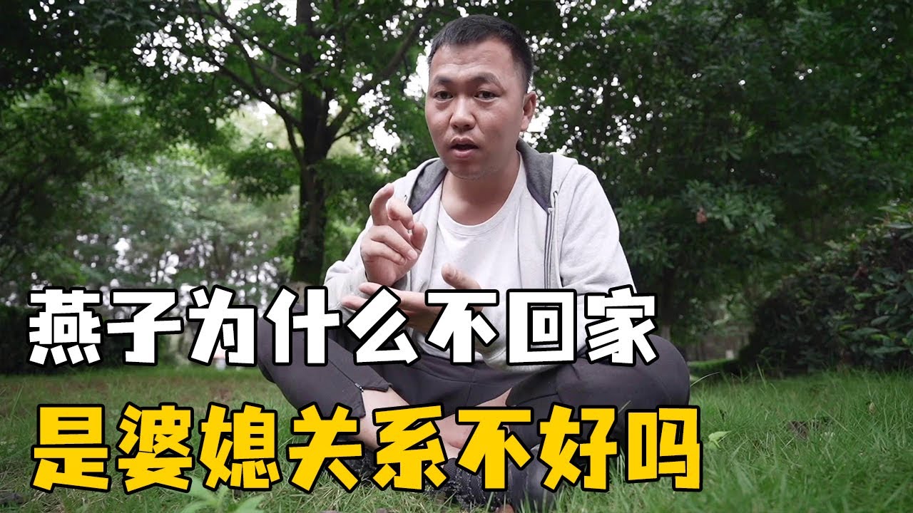 旅行自媒體壓力大，燕子不願意回家，是婆媳關係不好而不回家嗎【阿偉燕子旅行記】