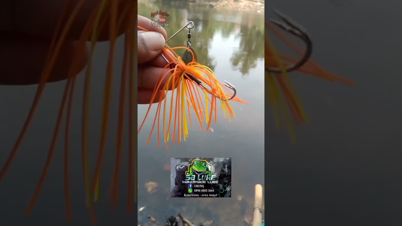 umpan ikan gabus khusus spot dalam spiner bait cocok buat dasaran info pemesanan cp di video.