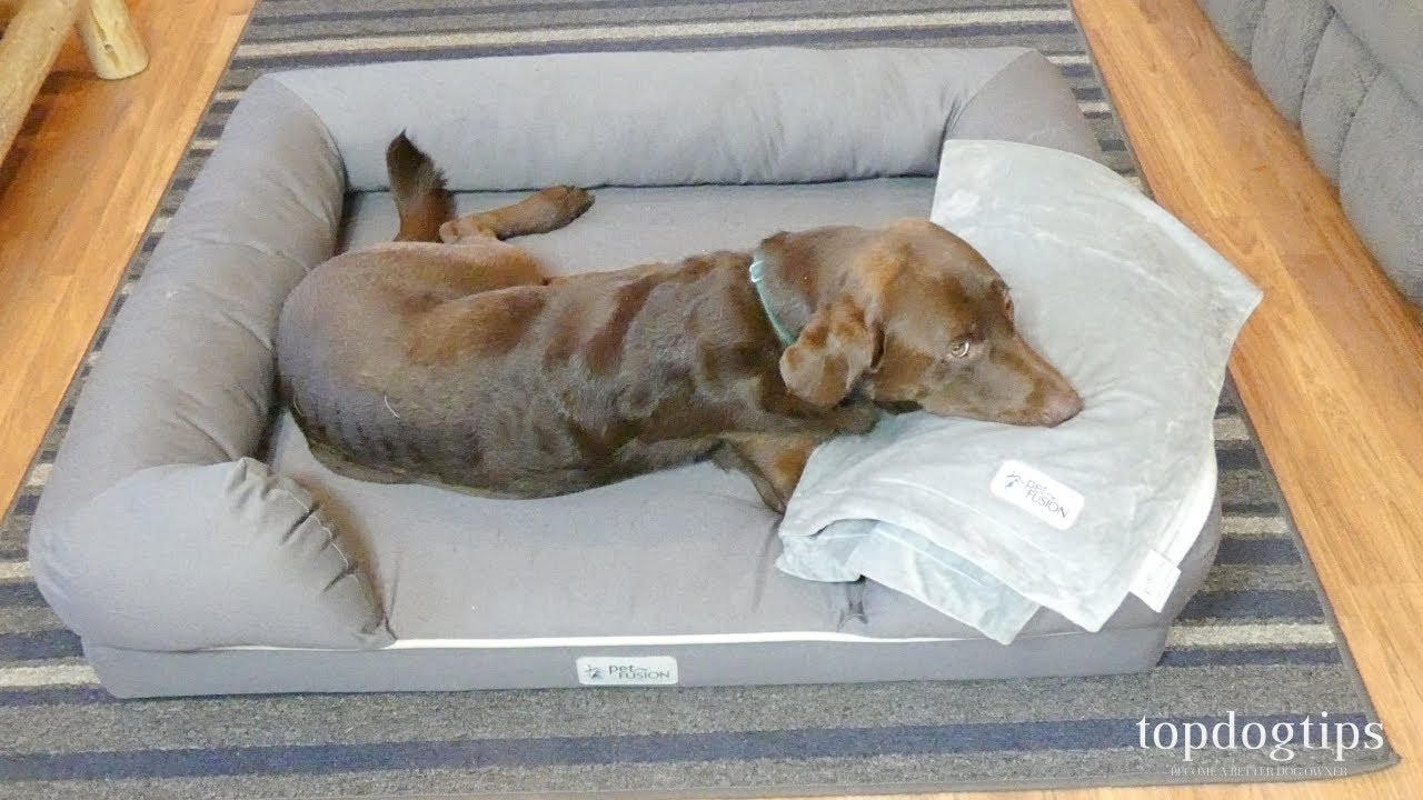 PetFusion Bolster Dog Bed & Micro Plush Blanket