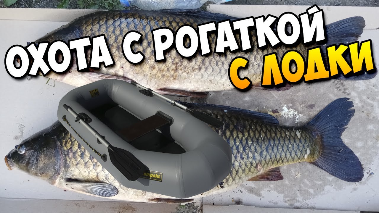 Чуть не выпал с лодки! | Июньская охота с рогаткой на рыбу с лодки | Мощные карпы на рогатку! #20