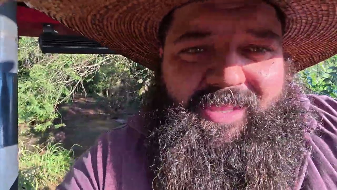 Plantando missioneira gigante num canto devarde
