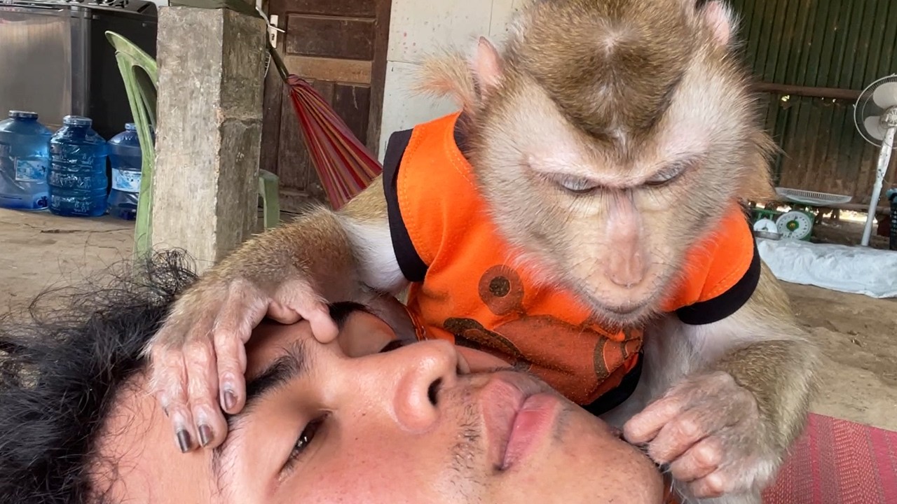 New Skin!! Little Monkey Zueii Massage My Face And Grooming Very Good