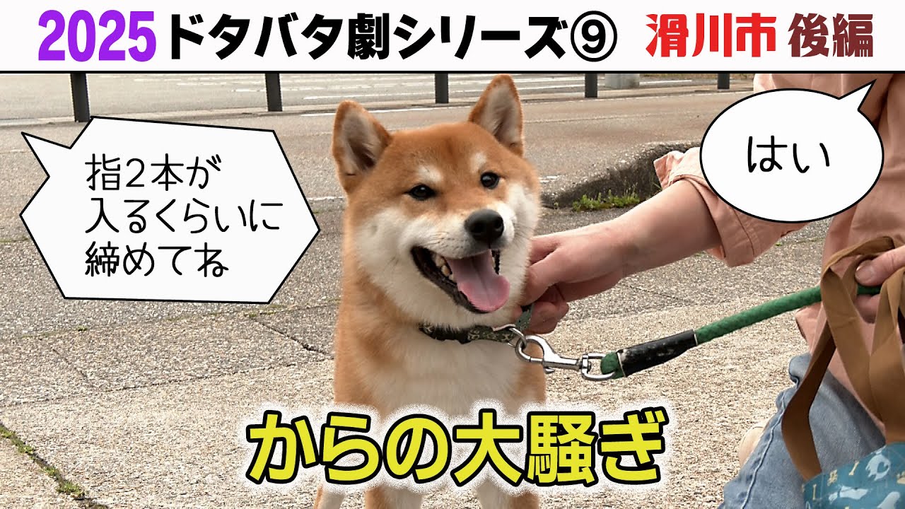 2025狂犬病予防注射会場のドタバタ劇⑨ 滑川市後編