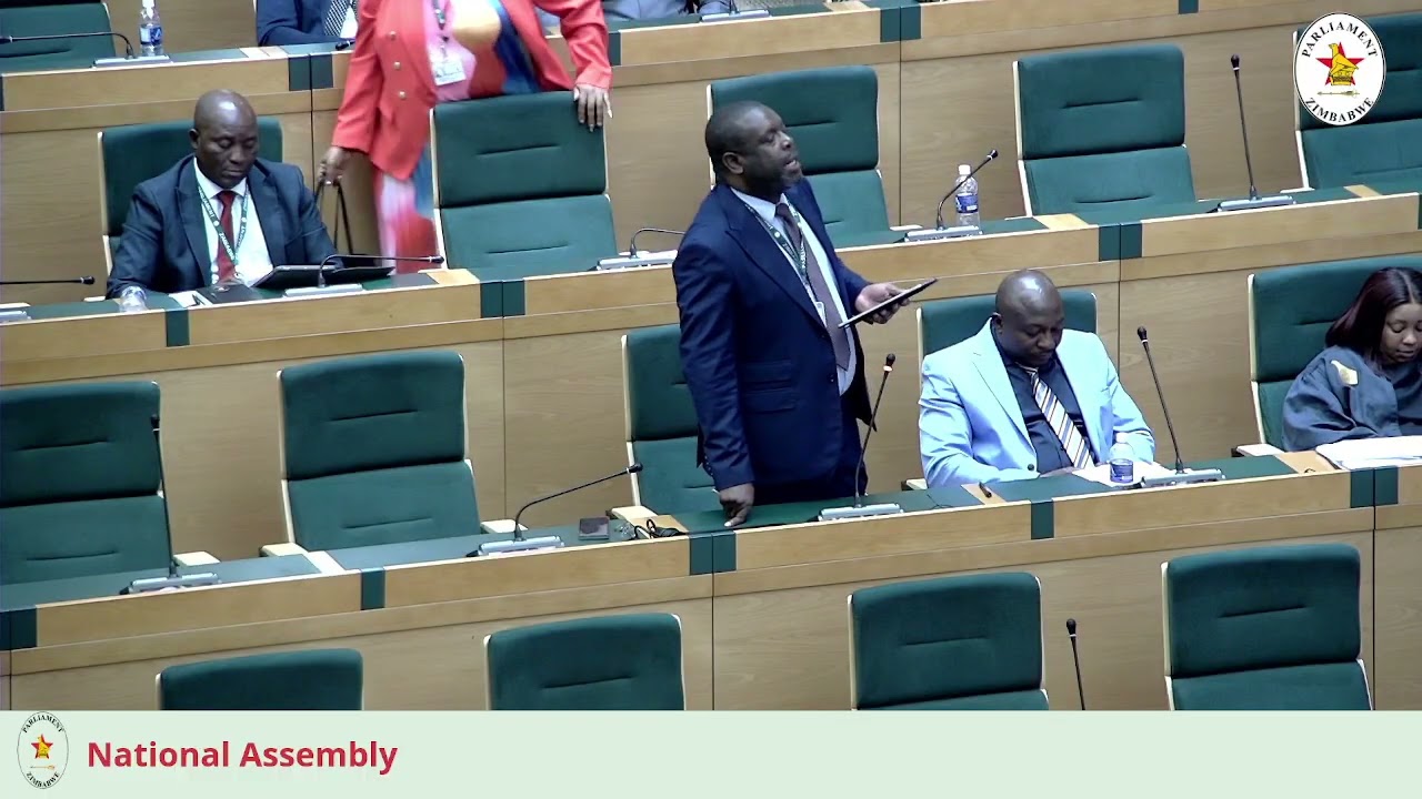 National Assembly Zimbabwe Parliament Hon Clemence Chiduwa speaking 