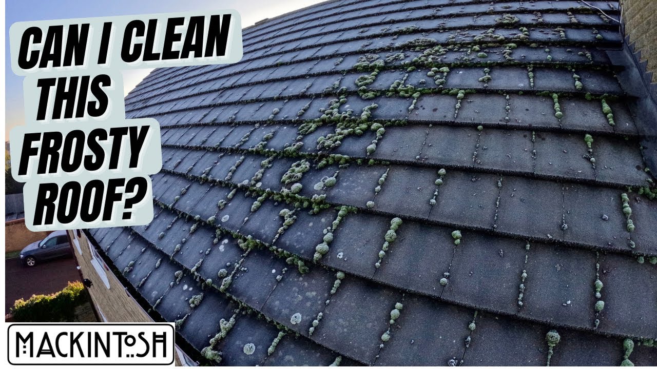 Frosty Roof Clean