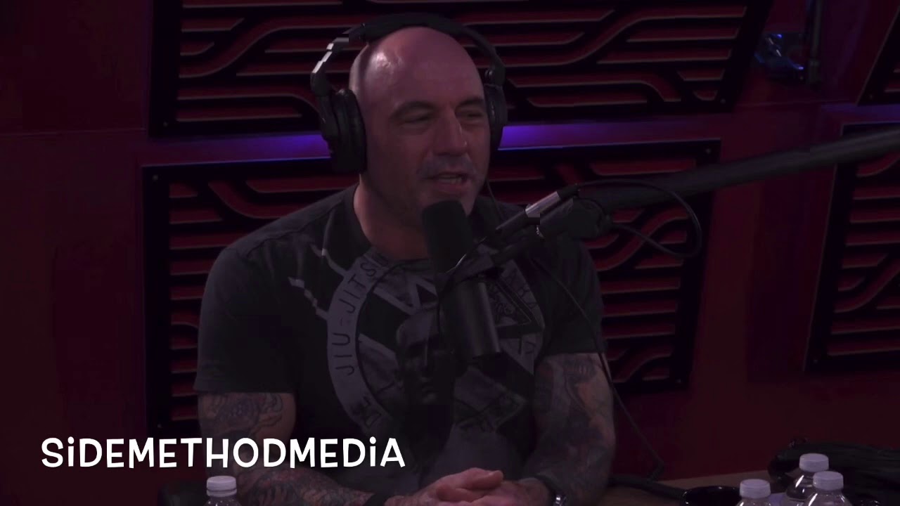 Joe Rogan and Colin Quinn Discuss The Genius of Norm Macdonald