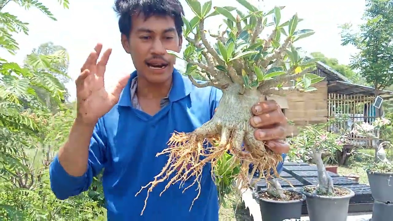 เทคนิคการเปลี่ยนดิน