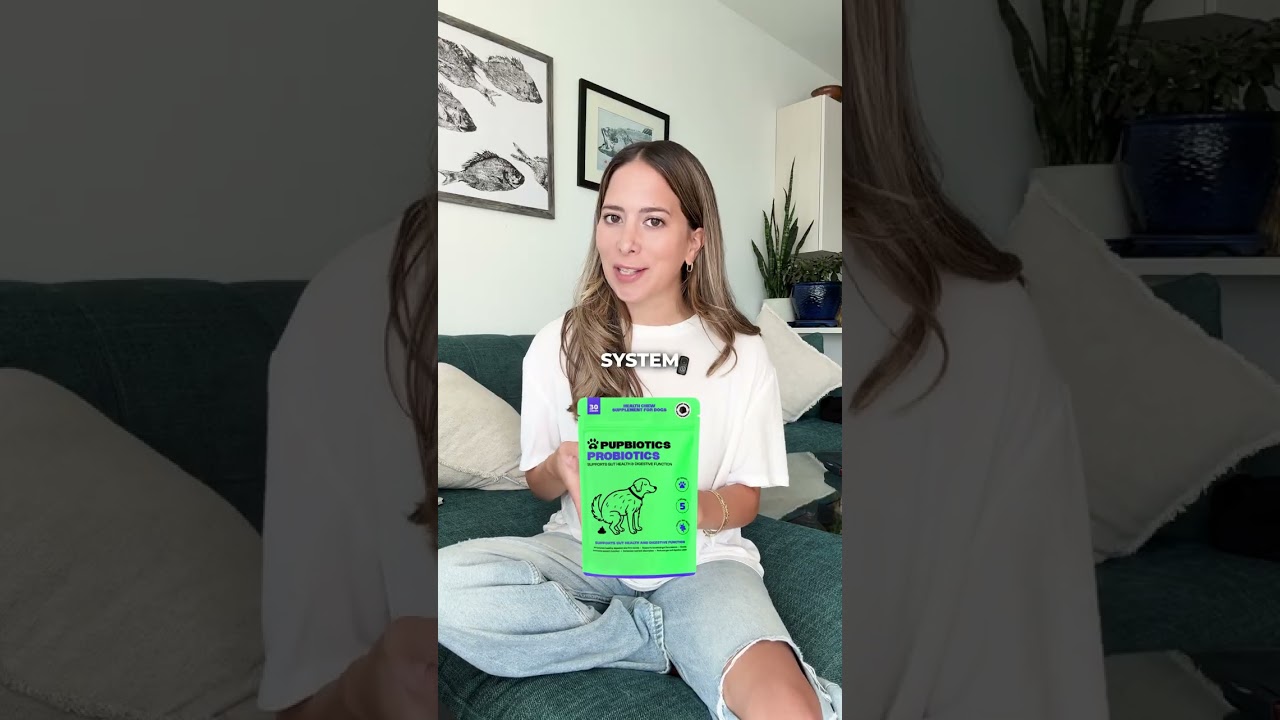 Rating Dog Health Tips From 1-10 📝