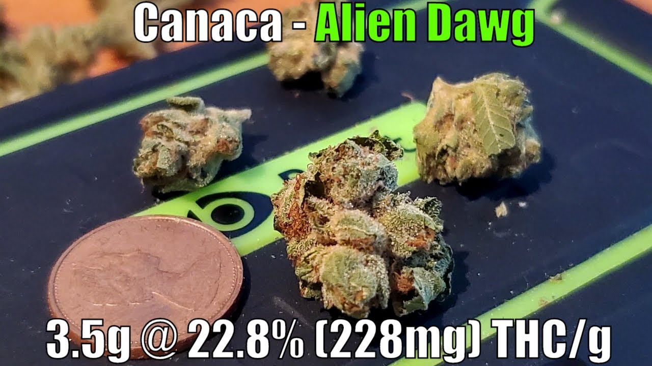 Canaca - Alien Dawg Unboxing Review - 3.5g @ 22.8% (228mg) THC/g (+Extreme Closeups)