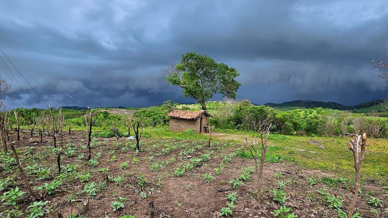 Chuva com raios descargas elétricas trovões foi de dar medo😱 