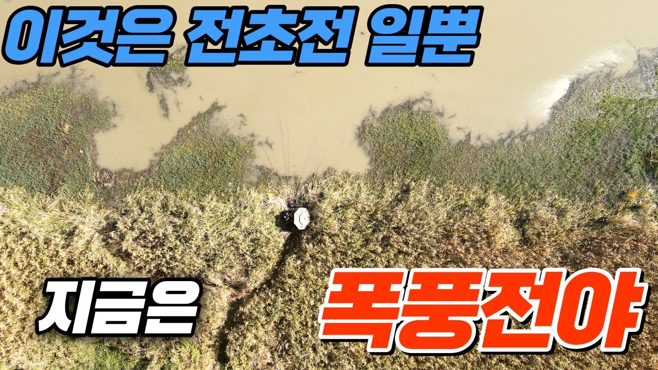 작년을 생각하면 지금은 폭풍전야 ,곧......