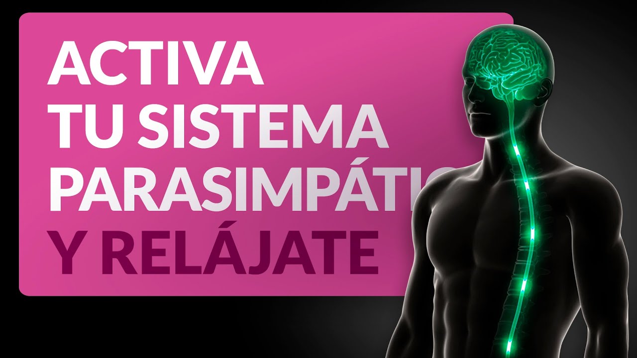 Activa tu sistema parasimpático y relájate rápido