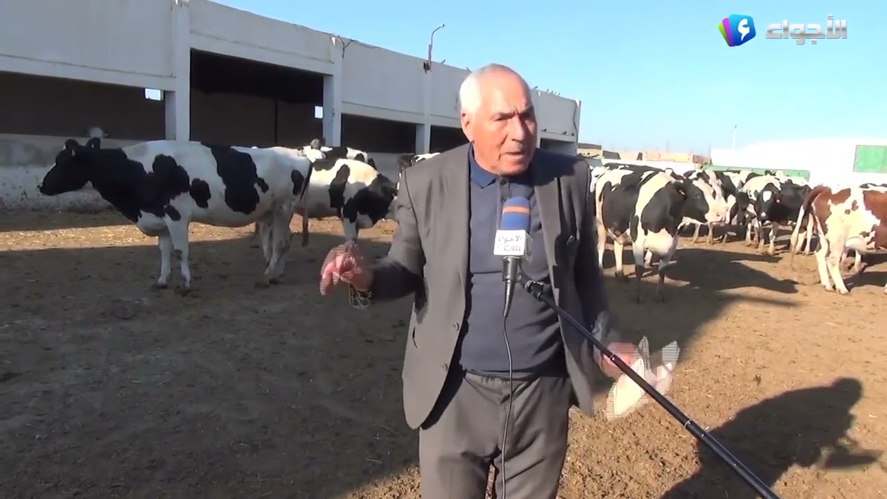 مستغانم _ مستثمر فلاحي يناشد رئيس الجمهورية لتسوية وضعيته العالقة منذ 4 سنوات