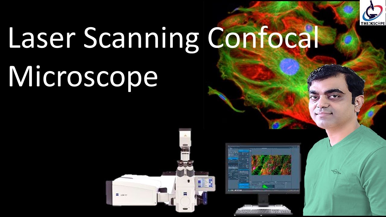 Confocal Microscope: ZEISS LSM 980 webinar talk