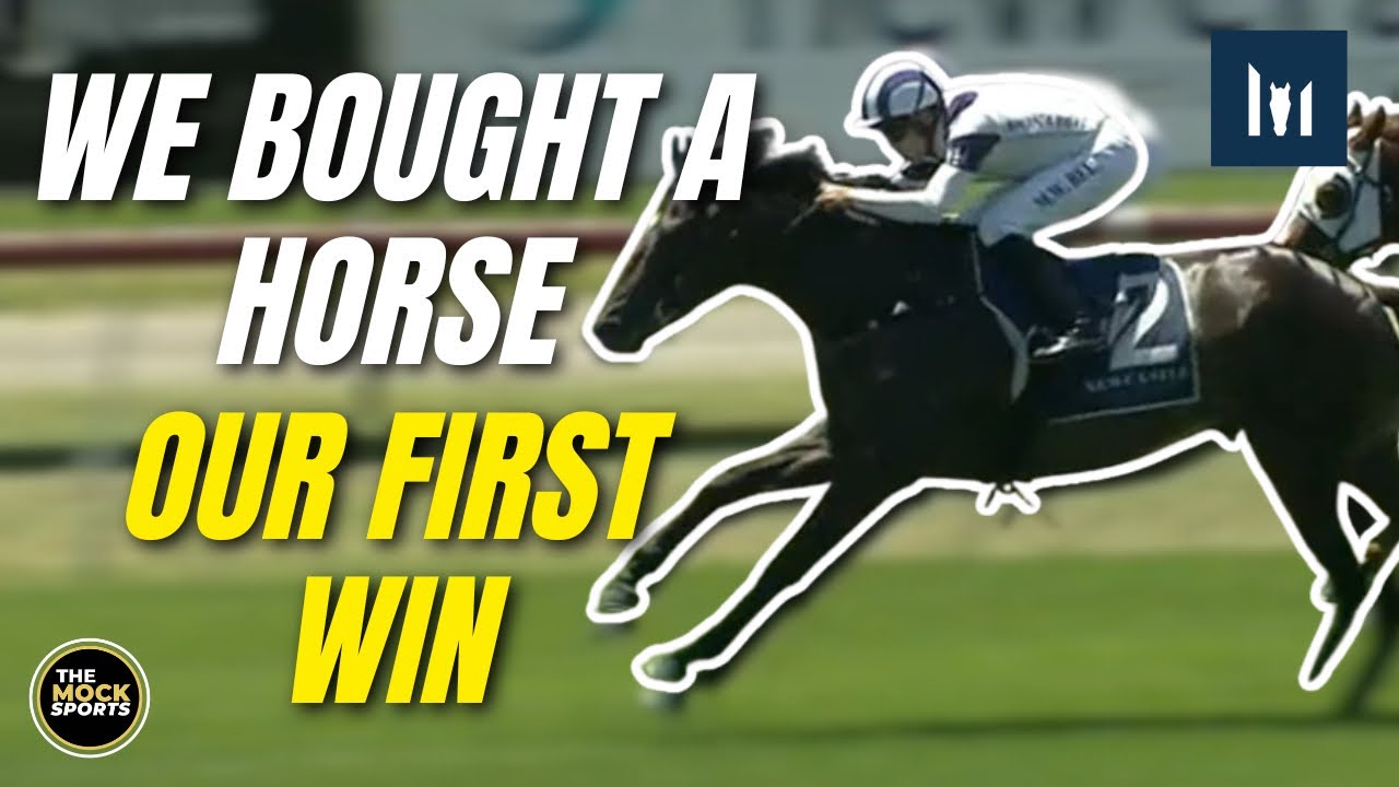 We Bought A Horse: Our First Win!