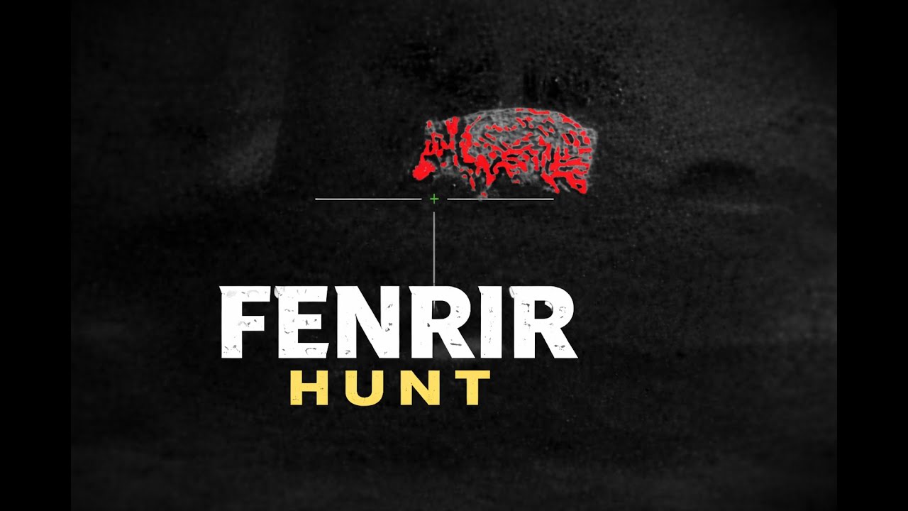 Night Hunting Wild Boar in Sweden | A Real POV Experience