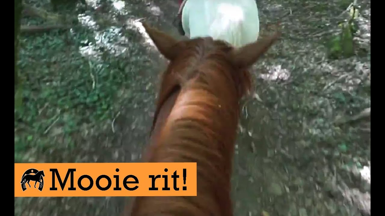 Rijden in France |in Draf