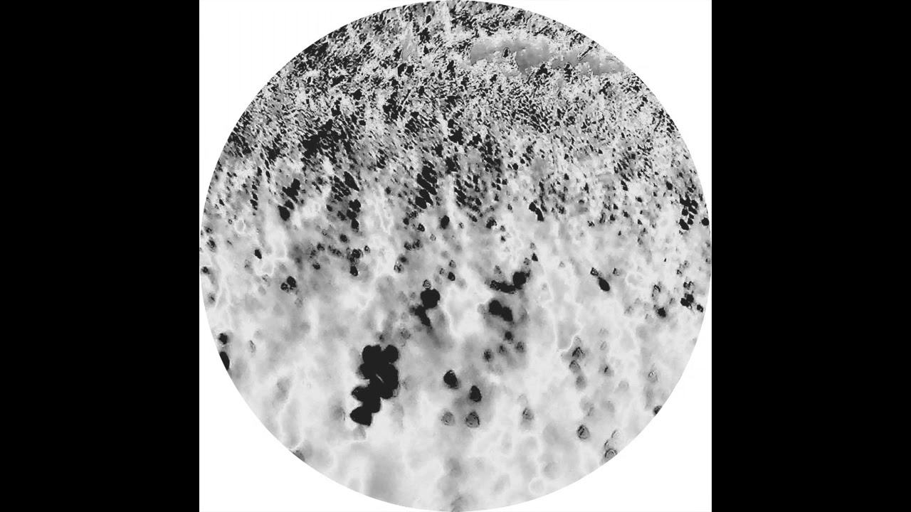Reggy Van Oers & Joachim Spieth - Undulatus Asperatus [AFFIN046LTD]