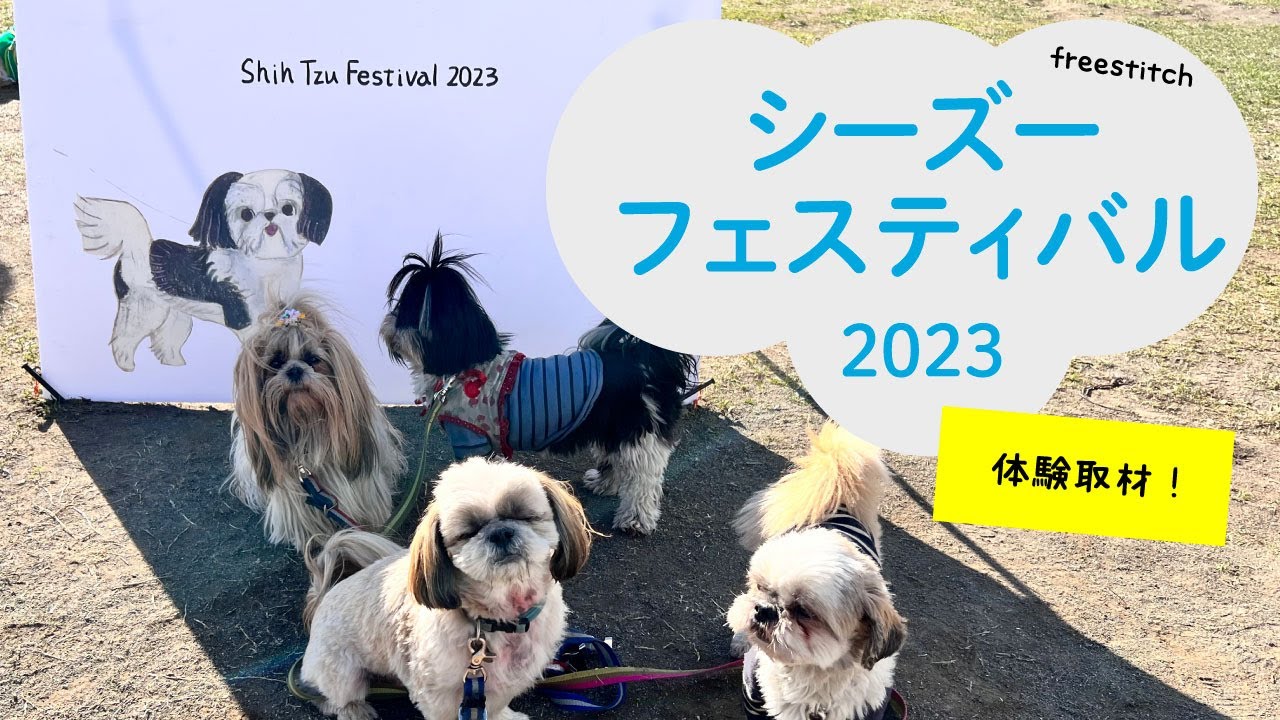 シーズーフェス2023に行ってみた！