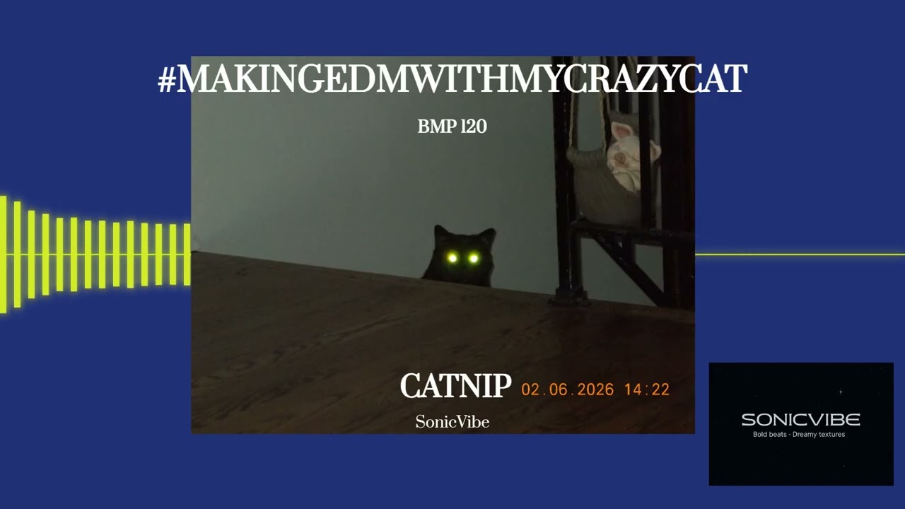 #MakingEDMWithMyCrazyCat #edmproducer  #beatmaking  #producerlife