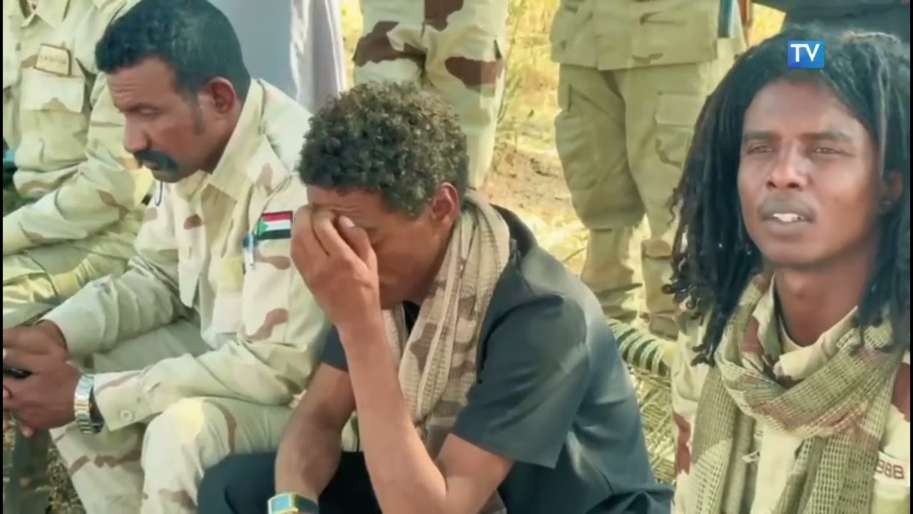 قبيلة رفاعة بالنيل الأزرق تقدم أكثر من 650 رأس ضأن إسنادًا لقوات الدعـ ـم السريع.
