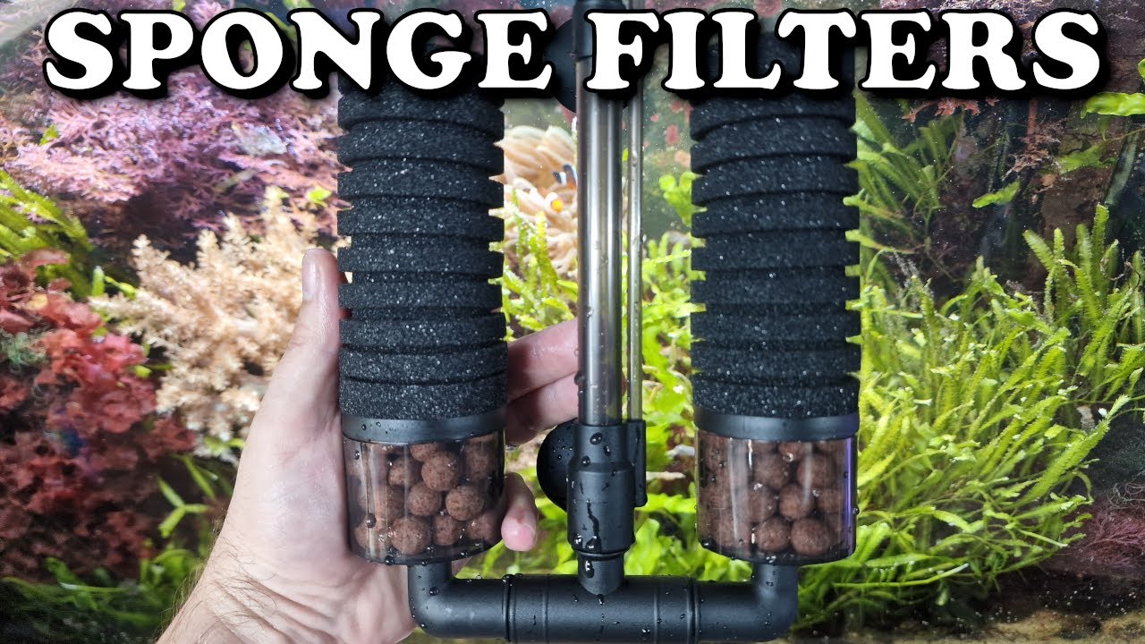 Aquarium Sponge Filters How Do They Work? | Hygger Sponge Filter Review