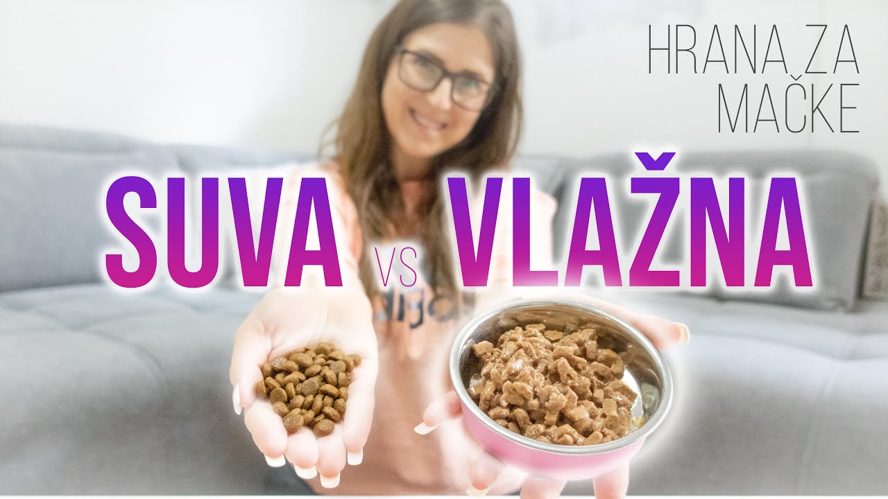 Suva i vlažna hrana - upoređivanje