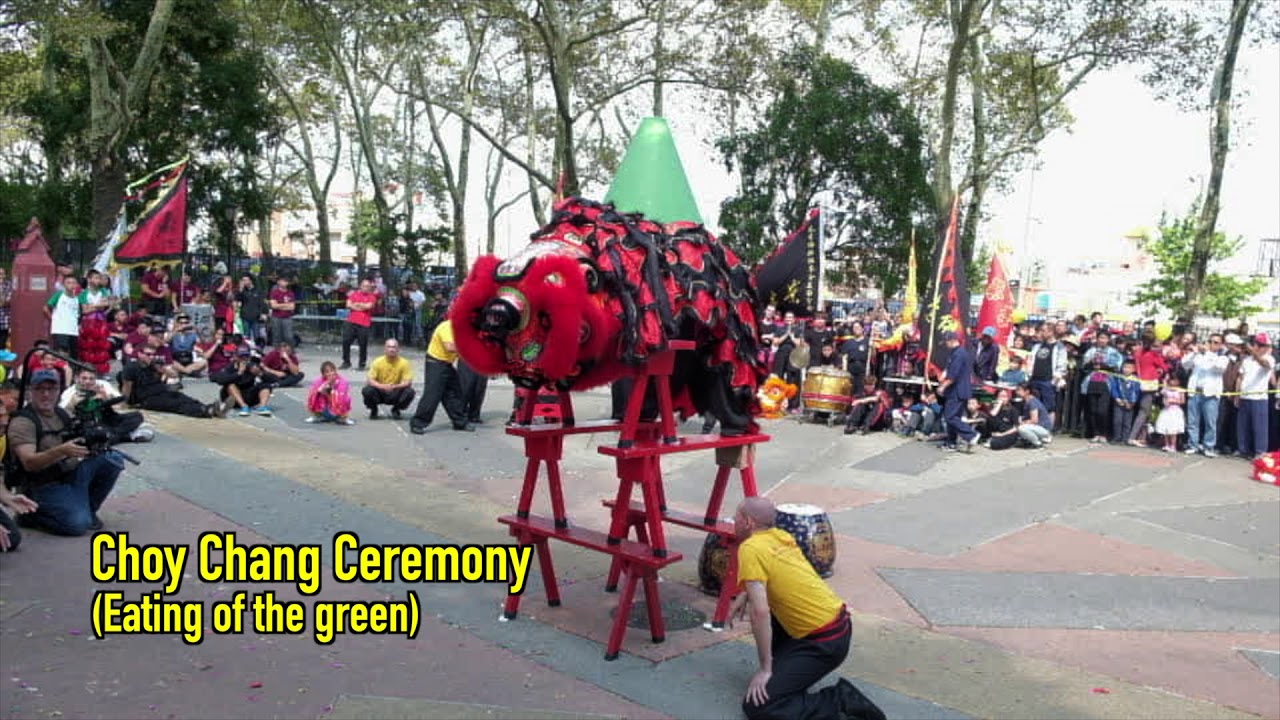 Yee's Hung Ga Kung Fu Association Lion Dance Brooklyn 2017
